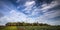 Distant woodland under a beautiful summer sky