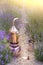 Distilling apparatus alembic with esential oil between of lavender field lines. Illustration of essetial oil