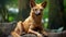 Distinct Facial Features Of A Small Dog In A Brazilian Zoo