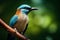 Distinct Motmot bird. Generate Ai