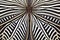 distinct pattern from a zebra longwing butterfly wing