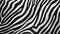 Distinct Zebra Stripes Pattern