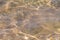 Distorted texture of sand under water. Transparent water ripples, sand waves and glare of sunlight. Seabed background