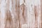 Distressed cracked weathered white and brown wood background