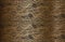 Distressed overlay texture of golden crocodile or snake skin leather, grunge background