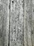 Distressed White Painted Wood Plank with Decaying Texture