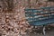 Distressed wood dark green painted park bench with dry fall leaves background in Tiergarten park of Berlin Germany.