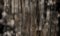 Distressed Wood Texture Background - grey Grunge Wood Floor or Desk Surface.