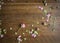 Distressed wooden table with scattered miniature pink rose buds and tiny green leaves