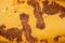 Distressed yellow metal sheet with brown rust for texture background