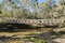 Disused Bridge Crossing Onkaparinga River, Kangarilla, South Australia