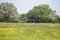 Disused football pitch in a field