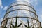 Disused gasometer metal covered with vegetation