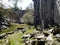 Disused slate quarry, Lake District