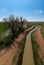 Ditch in Eastern Colorado Filled with Water