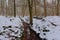 Ditch through a forest covered in snow