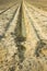 Ditch of rainwater collection in a plowed field