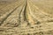 Ditch of rainwater collection in a plowed field - image with copy space