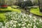 A ditch surrounded by a lawn and flower beds with daffodils and Tulips