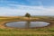 Ditchling Beacon Dew Pond