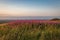 Ditchling Beacon Evening View