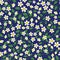 ditsy white yellow wild flower and green leaves with blue background