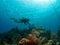 Dive Master checking the Mooring in Cayman Brac