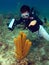 Dive Master pointing at a Sea Sponge