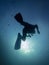 Diver ascends from dive on coral reef Komodo National Park, Indonesi