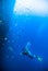 Diver blue water scuba diving bunaken indonesia sea reef ocean