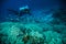 Diver blue water scuba diving bunaken indonesia sea reef ocean