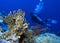 Diver with bubbles and corals at Habili Ali, St John\'s reefs, Re