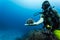 Diver displays sea urchin at coral reef