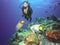 A Diver Encounters a Queen Angelfish Couple in the Mexican Caribbean