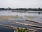 Diver endure the Algal bloom in a lake freshwater fishing village that suffer severe eutrophication