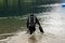 Diver entering the lake in high Alps Austria