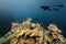 Diver exploring the coral reefs in Egypt