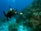 Diver Exploring the Reef with a Flashlight