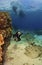 Diver exploring a reef in Kona Hawaii
