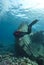 Diver exploring underwater shipwreck.