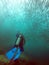 Diver facing a big shoal of fish