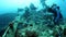 Diver feeds moray eel on background school of striped fish in underwater ocean.