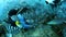 Diver feeds moray eel on background school of striped fish in underwater ocean.