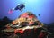 A Diver Floats Above a Colorful Coral Reef off Bonaire, NA