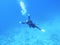 Diver girl soars over the bottom of the Indian Ocean