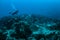 Diver and group of longfin bannerfish swimming in Gili, Lombok, Nusa Tenggara Barat, Indonesia underwater photo