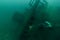 A diver investigates a Lake Michigan shipwreck