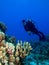 Diver with Lighted Reef