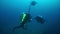 Diver near shipwreck in underwater world of Truk Islands.