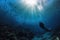 A diver in ocean underwater view is a captivating and exhilarating experience that allows you to explore the fascinating